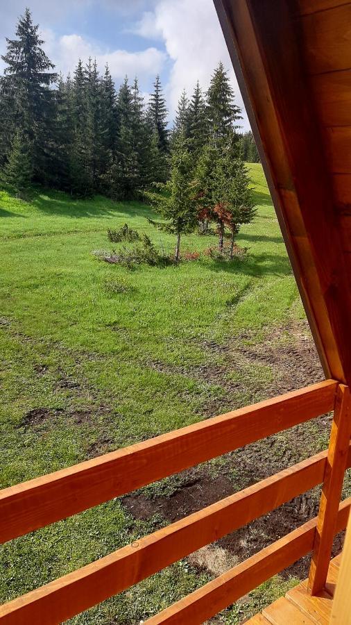 House Bojana Villa Žabljak Dış mekan fotoğraf