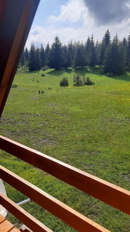 House Bojana Villa Žabljak Dış mekan fotoğraf