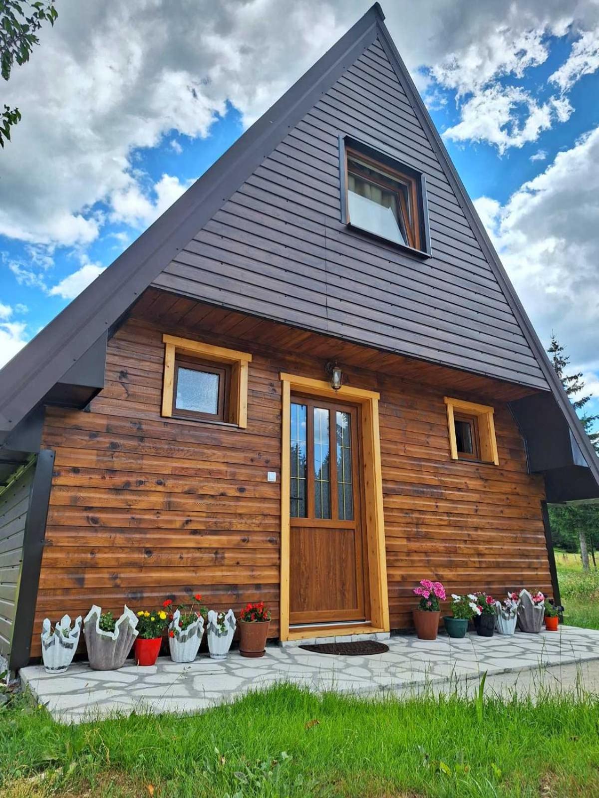 House Bojana Villa Žabljak Dış mekan fotoğraf